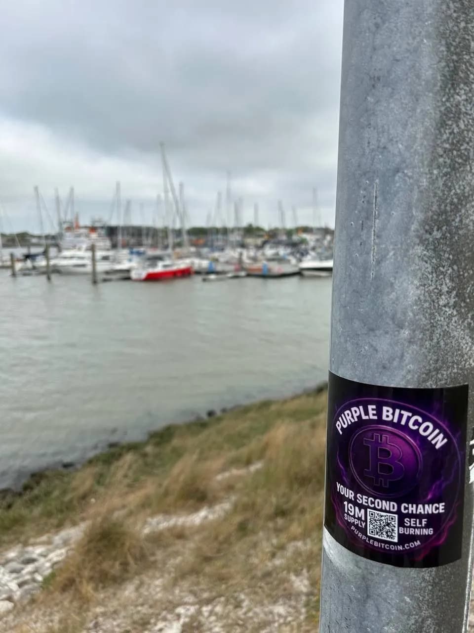 Purple Bitcoin community members distributing stickers in the Netherlands